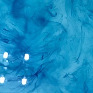 Meet your Posher, Ava